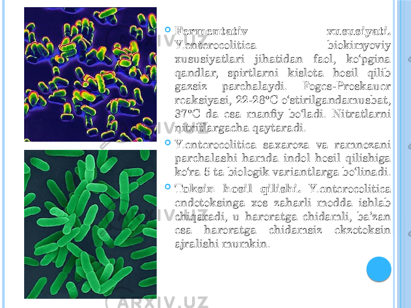  Fermentativ xususiyati. Y.enterocolitica biokimyoviy xususiyatlari jihatidan faol, ko‘pgina qandlar, spirtlarni kislota hosil qilib gazsiz parchalaydi. Foges-Proskauer reaksiyasi, 22-28°C o‘stirilgandamusbat, 37°C da esa manfiy bo‘ladi. Nitratlarni nitritlargacha qaytaradi.  Y.enterocolitica saxaroza va ramnozani parchalashi hamda indol hosil qilishiga ko‘ra 5 ta biologik variantlarga bo‘linadi.  Toksin hosil qilishi. Y.enterocolitica endotoksinga xos zaharli modda ishlab chiqaradi, u haroratga chidamli, ba’zan esa haroratga chidamsiz ekzotoksin ajralishi mumkin. 