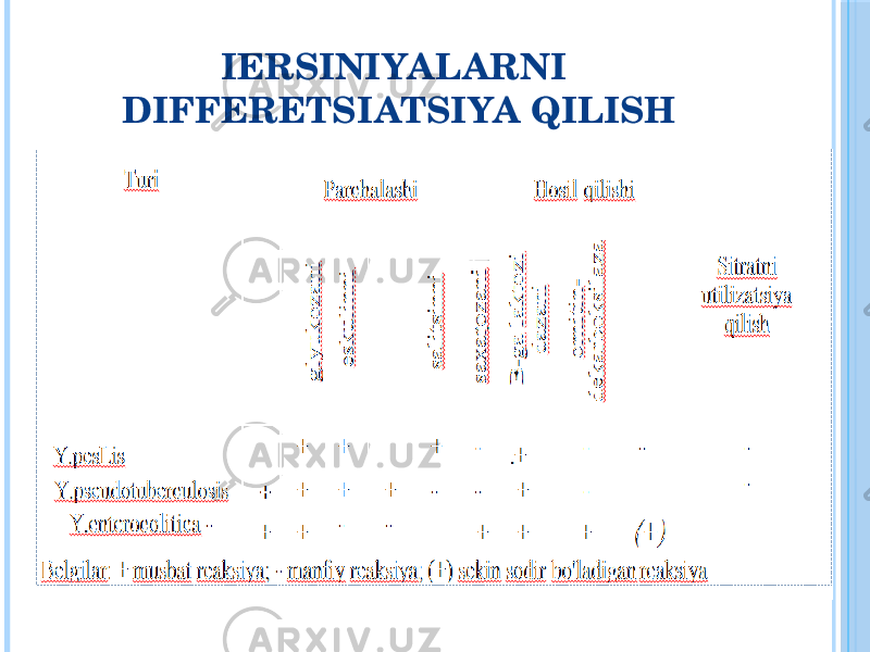 IERSINIYALARNI DIFFERETSIATSIYA QILISH 