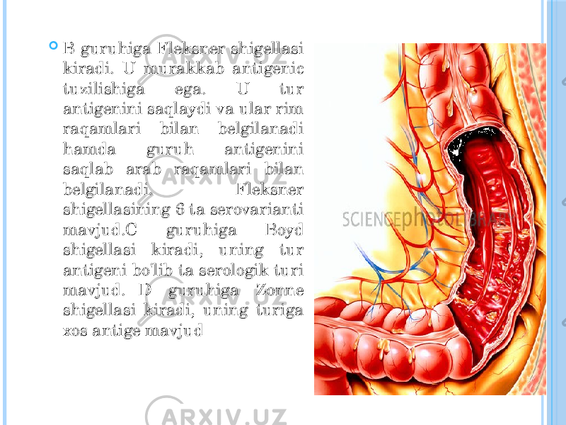  В guruhiga Fleksner shigellasi kiradi. U murakkab antigenic tuzilishiga ega. U tur antigenini saqlaydi va ular rim raqamlari bilan belgilanadi hamda guruh antigenini saqlab arab raqamlari bilan belgilanadi. Fleksner shigellasining 6 ta serovarianti mavjud.С guruhiga Boyd shigellasi kiradi, uning tur antigeni bo&#39;lib ta serologik turi mavjud. D guruhiga Zonne shigellasi kiradi, uning turiga xos antige mavjud 