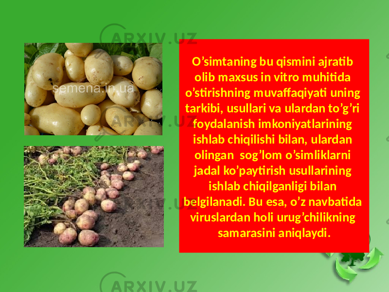 O’simtaning bu qismini ajratib olib maxsus in vitro muhitida o’stirishning muvaffaqiyati uning tarkibi, usullari va ulardan to’g’ri foydalanish imkoniyatlarining ishlab chiqilishi bilan, ulardan olingan sog’lom o’simliklarni jadal ko’paytirish usullarining ishlab chiqilganligi bilan belgilanadi. Bu esa, o’z navbatida viruslardan holi urug’chilikning samarasini aniqlaydi. 