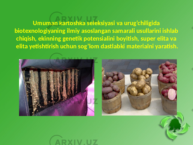 Umuman kartoshka seleksiyasi va urug’chiligida biotexnologiyaning ilmiy asoslangan samarali usullarini ishlab chiqish, ekinning genetik potensialini boyitish, super elita va elita yetishtirish uchun sog’lom dastlabki materialni yaratish. 