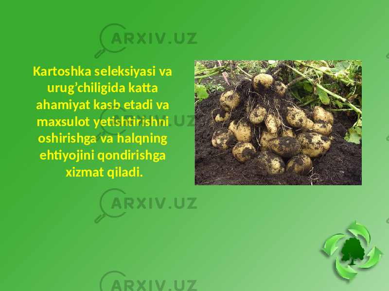 Kartoshka seleksiyasi va urug’chiligida katta ahamiyat kasb etadi va maxsulot yetishtirishni oshirishga va halqning ehtiyojini qondirishga xizmat qiladi. 