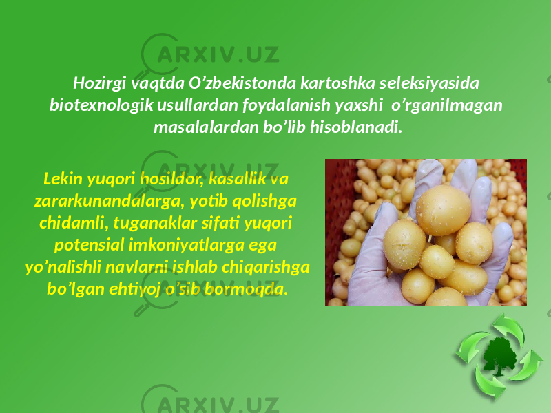 Lekin yuqori hosildor, kasallik va zararkunandalarga, yotib qolishga chidamli, tuganaklar sifati yuqori potensial imkoniyatlarga ega yo’nalishli navlarni ishlab chiqarishga bo’lgan ehtiyoj o’sib bormoqda. Hozirgi vaqtda O’zbekistonda kartoshka seleksiyasida biotexnologik usullardan foydalanish yaxshi o’rganilmagan masalalardan bo’lib hisoblanadi. 