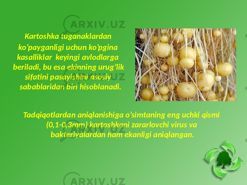  Kartoshka tuganaklardan ko’payganligi uchun ko’pgina kasalliklar keyingi avlodlarga beriladi, bu esa ekinning urug’lik sifatini pasayishini asosiy sabablaridan biri hisoblanadi. Tadqiqotlardan aniqlanishiga o’simtaning eng uchki qismi (0,1-0,3mm) kartoshkani zararlovchi virus va bakteriyalardan ham ekanligi aniqlangan. 