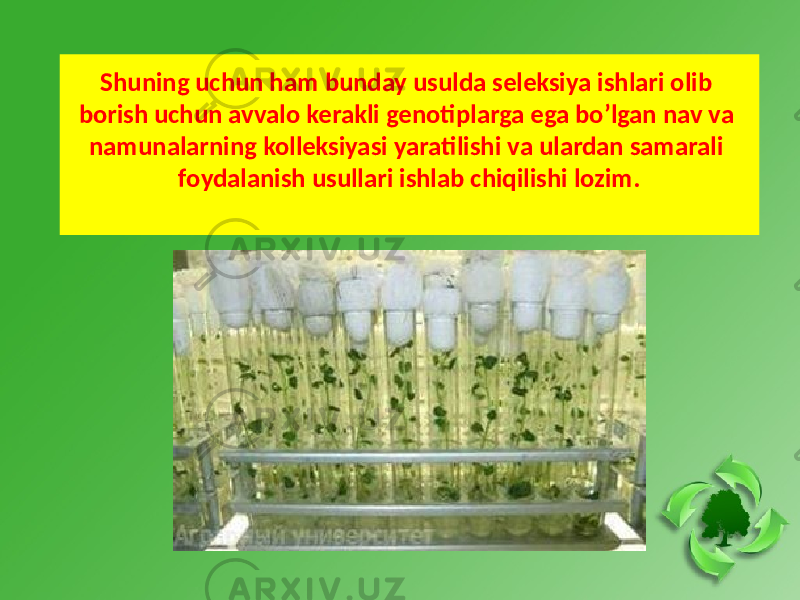 Shuning uchun ham bunday usulda seleksiya ishlari olib borish uchun avvalo kerakli genotiplarga ega bo’lgan nav va namunalarning kolleksiyasi yaratilishi va ulardan samarali foydalanish usullari ishlab chiqilishi lozim. 