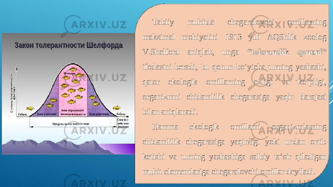 Tabiiy muhitda chegaralovchi omillarning maksimal mohiyatini 1913 yili AQShlik zoolog V.Shelford aniqlab, unga “tolerantlik qonuni” ifodasini beradi, bu qonun bo‘yicha turning yashashi, qator ekologik omillarning ozligi va ko‘pligi, organizmni chidamlilik chegarasiga yaqin darajasi bilan aniqlanadi. Hamma ekologik omillami organizmlaming chidamlilik chegarasiga yaqinligi yoki undan ortib ketishi va turning yashashiga salbiy ta’sir qiladigan muhit elementlariga chegaralovchi omillar deyiladi. 