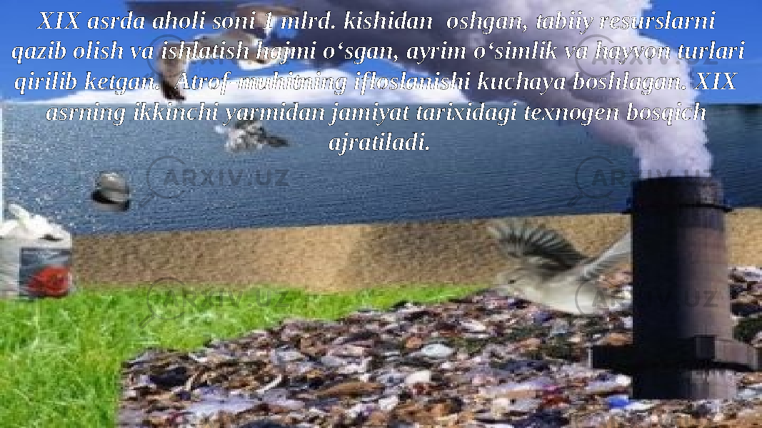 XIX asrda aholi soni 1 mlrd. kishidan oshgan, tabiiy resurslarni qazib olish va ishlatish hajmi o‘sgan, ayrim o‘simlik va hayvon turlari qirilib ketgan. Atrof-muhitning ifloslanishi kuchaya boshlagan. XIX asrning ikkinchi yarmidan jamiyat tarixidagi texnogen bosqich ajratiladi. 