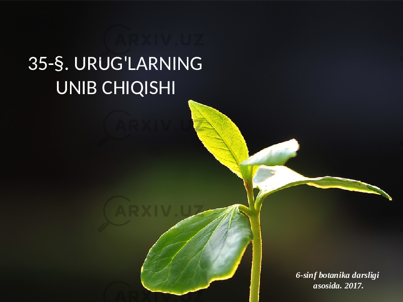 35-§. URUG&#39;LARNING UNIB CHIQISHI 6-sinf botanika darsligi asosida. 2017. 