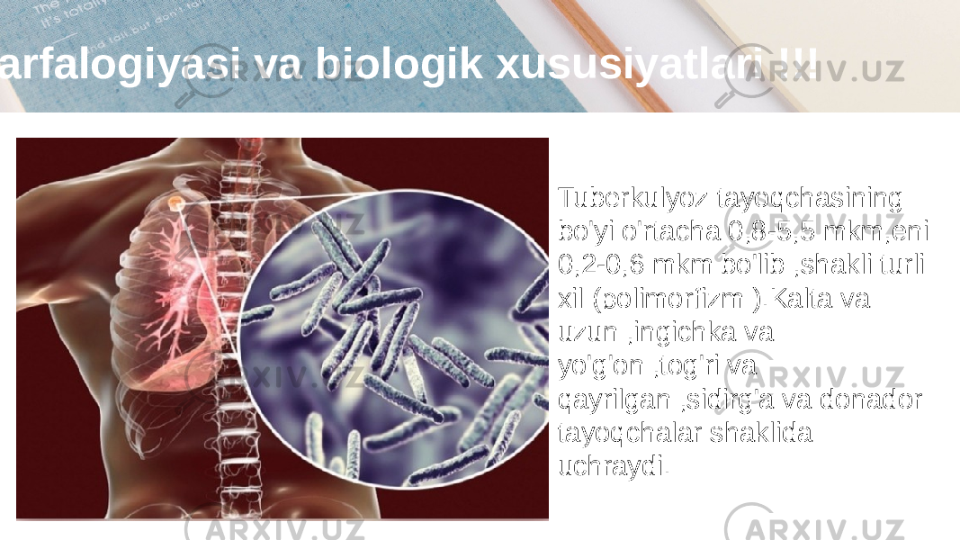  Marfalogiyasi va biologik xususiyatlari !!! Tuberkulyoz tayoqchasining bo&#39;yi o&#39;rtacha 0,8-5,5 mkm,eni 0,2-0,6 mkm bo&#39;lib ,shakli turli xil (polimorfizm ).Kalta va uzun ,ingichka va yo&#39;g&#39;on ,tog&#39;ri va qayrilgan ,sidirg&#39;a va donador tayoqchalar shaklida uchraydi. 