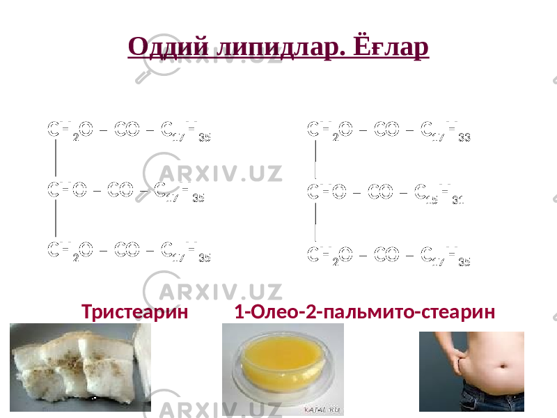 Оддий липидлар. Ёғлар СН 2 О – СО – С 17 Н 35 СНО – СО – С 17 Н 35 СН 2 О – СО – С 17 Н 35 СН 2 О – СО – С 17 Н 33 СНО – СО – С 15 Н 31 СН 2 О – СО – С 17 Н 35 Тристеарин 1-Олео-2-пальмито-стеарин 