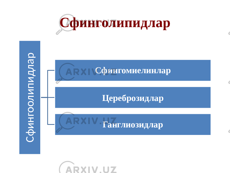 СфинголипидларС ф и н г о о л и п и д л а р Сфингомиелинлар Цереброзидлар Ганглиозидлар 