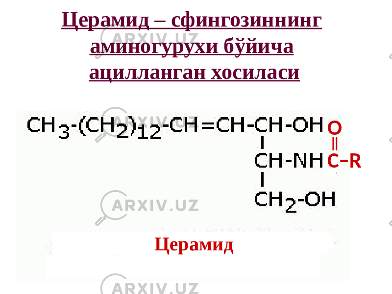 Церамид – сфингозиннинг аминогурухи бўйича ацилланган хосиласи С–RO Церамид 