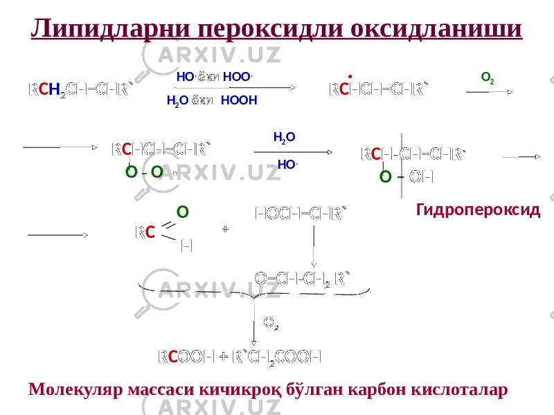 Липидларни пероксидли оксидланиши R C H 2 CH=CHR` HO . ёки НОО . - Н 2 О ёки - НООН R C HCH=CHR` . О 2 R C HCH=CHR` О – О . Н 2 О - HO . R C H – CH=CHR ` О – ОН R C O H + HOCH=CHR` O=CH-CH 2 R` О 2 R C OOH + R`CH 2 COOH Гидропероксид Молекуляр массаси кичикроқ бўлган карбон кислоталар 