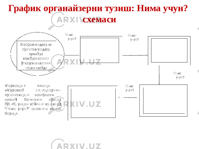 График органайзерни тузиш: Нима учун? схемаси Марказдаги овалда «Мураккаб липидларнинг организмдаги вазифаси» – асосий бошловчи сўзлар бўлиб, ундан кейинги катаклар “Нима учун?” саволига жавоб беради.   Фосфолипидлар ва сфинголипидлар хужайра мембранасиниг ўтказувчанлигини таъминлайди             Нима учун?Нима учун? Нима учун? Нима учун? 