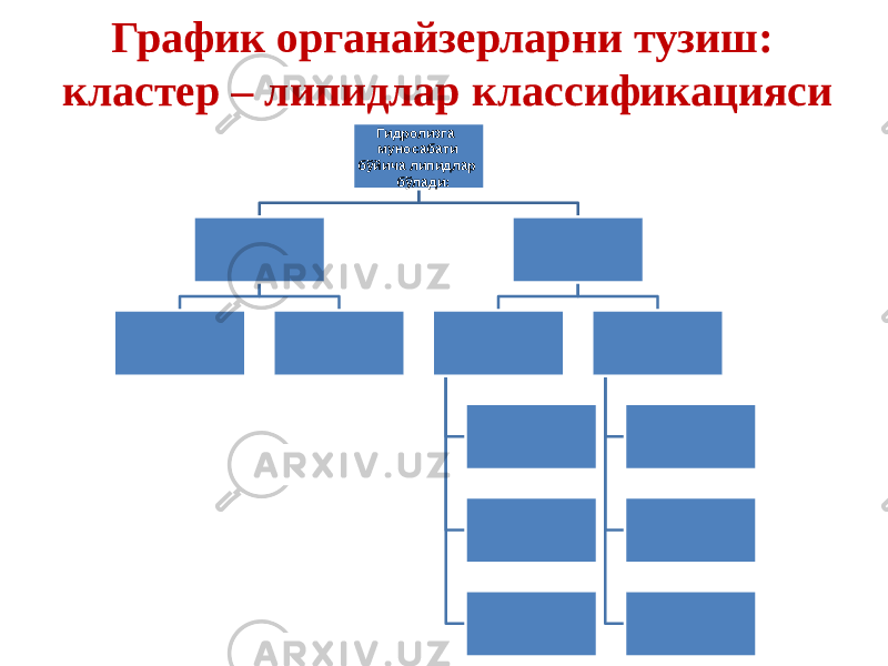 График органайзерларни тузиш: кластер – липидлар классификацияси Гидролизга муносабати бўйича липидлар бўлади: 