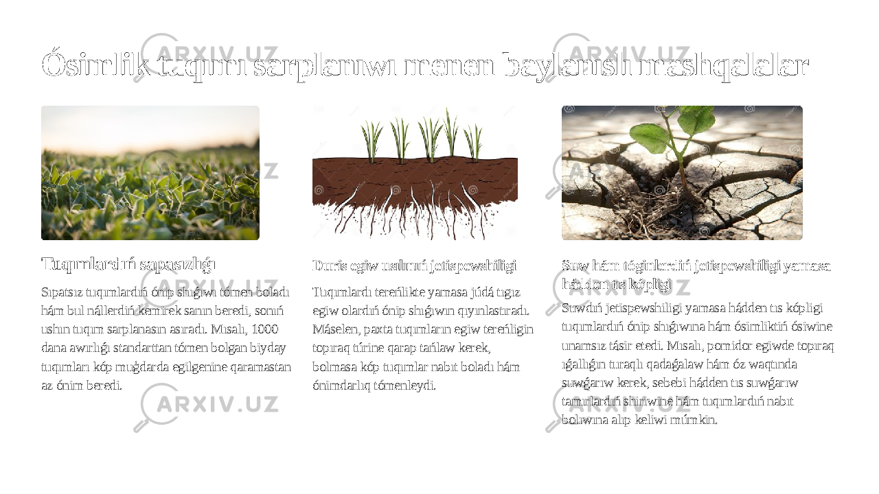 Ósimlik tuqımı sarplanıwı menen baylanıslı mashqalalar Tuqımlardıń sapasızlıǵı Sıpatsız tuqımlardıń ónip shıǵıwı tómen boladı hám bul nállerdiń kemirek sanın beredi, sonıń ushın tuqım sarplanasın asıradı. Mısalı, 1000 dana awırlıǵı standarttan tómen bolgan biyday tuqımları kóp muģdarda egilgenine qaramastan az ónim beredi. Duris egiw usılınıń jetispewshiligi Tuqımlardı tereńlikte yamasa júdá tıgız egiw olardıń ónip shıǵıwın qıyınlastıradı. Máselen, paxta tuqımların egiw tereńligin topıraq túrine qarap tańlaw kerek, bolmasa kóp tuqımlar nabıt boladı hám ónimdarlıq tómenleydi. Suw hám tóginlerdiń jetispewshiligi yamasa hádden tıs kópligi Suwdıń jetispewshiligi yamasa hádden tıs kópligi tuqımlardıń ónip shıǵıwına hám ósimliktiń ósiwine unamsız tásir etedi. Mısalı, pomidor egiwde topıraq ıǵallıǵın turaqlı qadaǵalaw hám óz waqtında suwǵarıw kerek, sebebi hádden tıs suwǵarıw tamırlardıń shiriwine hám tuqımlardıń nabıt bolıwına alıp keliwi múmkin. 