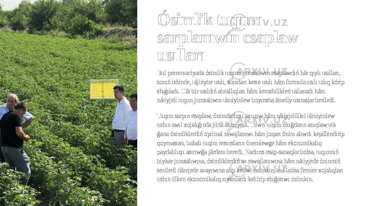 Ósimlik tuqımı sarplanıwın esaplaw usılları Bul prezentaciyada ósimlik tuqımı jumsalıwın esaplawdıń hár qıylı usılları, sonıń ishinde, tájiriybe usılı, standart keste usılı hám formula usılı tolıq kórip shıǵıladı. Hár bir usıldıń abzallıqları hám kemshilikleri tallanadı hám nátiyjeli tuqım jumsalıwın támiyinlew boyınsha ámeliy usınıslar beriledi. Tuqım sarpın esaplaw, ónimdarlıqtı arttırıw hám nátiyjelilikti támiyinlew ushın awıl xojalıǵında júdá áhmiyetli. Tuwrı tuqım muǵdarın anıqlaw tek ǵana ósimliklerdiń optimal rawajlanıwı hám joqarı ónim alıwdı kepillendirip qoymastan, bahalı tuqim resursların únemlewge hám ekonomikalıq paydalılıqtı asırıwǵa járdem beredi. Nadurıs esap-sanaqlar bolsa, tuqımnıń biykar jumsalıwına, ósimliklerdiń az rawajlanıwına hám nátiyjede ónimniń sezilerli dárejede azayıwına alıp keliwi múmkin, bul bolsa fermer xojalıqları ushın úlken ekonomikalıq zıyanlardı keltirip shıǵarıwı múmkin. 