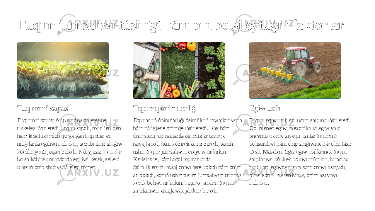 Tuqım jumsalıwı túsinigi hám onı belgileytuģın faktorlar Tuqımnıń sapası Tuqımnıń sapası ónip shıǵıw dárejesine tikkeley tásir etedi. Joqarı sapalı, tolıq jetilgen hám keselliklerden qorgalgan tuqımlar az muģdarda egiliwi múmkin, sebebi ónip shiģiw koefficiyenti joqarı boladı. Nátiyjesiz tuqımlar bolsa kóbirek muǵdarda egiliwi kerek, sebebi olardıń ónip shıǵıw dárejesi tómen. Topıraq ónimdarlıǵı Topıraqtıń ónimdarlıǵı ósimliktiń rawajlanıwına hám nátiyjede ónimge tásir etedi. Bay hám ónimdarlı topıraqlarda ósimlikler tezirek rawajlanadı hám kóbirek ónim beredi, sonıń ushın tuqım jumsalıwın azaytıw múmkin. Kerisinshe, kámbaǵal topıraqlarda ósimliklerdiń rawajlanıwı áste boladı hám ónim az boladı, sonıń ushın tuqım jumsalıwın arttırıw kerek bolıwı múmkin. Topiraq analizi tuqim sarplanıwın anıqlawda járdem beredi. Egiw usılı Tuqım egiw usılı da tuqım sarpına tásir etedi. Qol menen egiw, mexanikalıq egiw yaki pnevmo-ekiriw sıyaqlı usıllar tuqımnıń bólistiriliwi hám ónip shıǵıwına hár túrli tásir etedi. Máselen, tıgız egiw usıllarında tuqım sarplanıwı kóbirek bolıwı múmkin, biraq az tıgızlıqta egiwde tuqım sarplanıwı azayadı, biraq sonıń menen birge, ónim azayıwı múmkin. 
