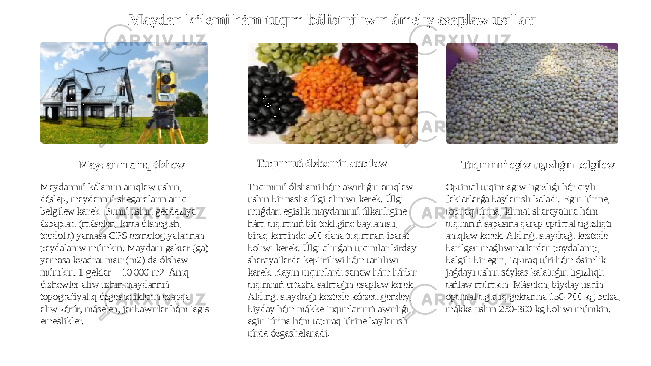Maydan kólemi hám tuqim bólistiriliwin ámeliy esaplaw usılları Maydannı anıq ólshew Maydannıń kólemin anıqlaw ushın, dáslep, maydannıń shegaraların anıq belgilew kerek. Bunıń ushın geodeziya ásbapları (máselen, lenta ólshegish, teodolit) yamasa GPS texnologiyalarınan paydalanıw múmkin. Maydanı gektar (ga) yamasa kvadrat metr (m2) de ólshew múmkin. 1 gektar = 10 000 m2. Anıq ólshewler alıw ushın maydannıń topografiyalıq ózgesheliklerin esapqa alıw zárúr, máselen, janbawırlar hám tegis emeslikler. Tuqımnıń ólshemin anıqlaw Tuqımnıń ólshemi hám awırlıǵın anıqlaw ushın bir neshe úlgi alınıwı kerek. Úlgi muǵdarı egislik maydanınıń úlkenligine hám tuqımnıń bir tekligine baylanıslı, biraq keminde 500 dana tuqımnan ibarat bolıwı kerek. Úlgi alınǵan tuqımlar birdey sharayatlarda keptiriliwi hám tartılıwı kerek. Keyin tuqımlardı sanaw hám hárbir tuqımnıń ortasha salmaǵın esaplaw kerek. Aldingi slaydtaǵı kestede kórsetilgendey, biyday hám mákke tuqımlarınıń awırlıǵı egin túrine hám topıraq túrine baylanıslı túrde ózgeshelenedi. Tuqımnıń egiw tıgızlıǵın belgilew Optimal tuqim egiw tıgızlıǵı hár qıylı faktorlarǵa baylanıslı boladı. Egin túrine, topıraq túrine, klimat sharayatına hám tuqımnıń sapasına qarap optimal tıgızlıqtı anıqlaw kerek. Aldınǵı slaydtaǵı kestede berilgen maǵlıwmatlardan paydalanıp, belgili bir egin, topıraq túri hám ósimlik jaǵdayı ushın sáykes keletuǵın tıgızlıqtı tańlaw múmkin. Máselen, biyday ushin optimal tıgızlıq gektarına 150-200 kg bolsa, mákke ushın 250-300 kg bolıwı múmkin. 