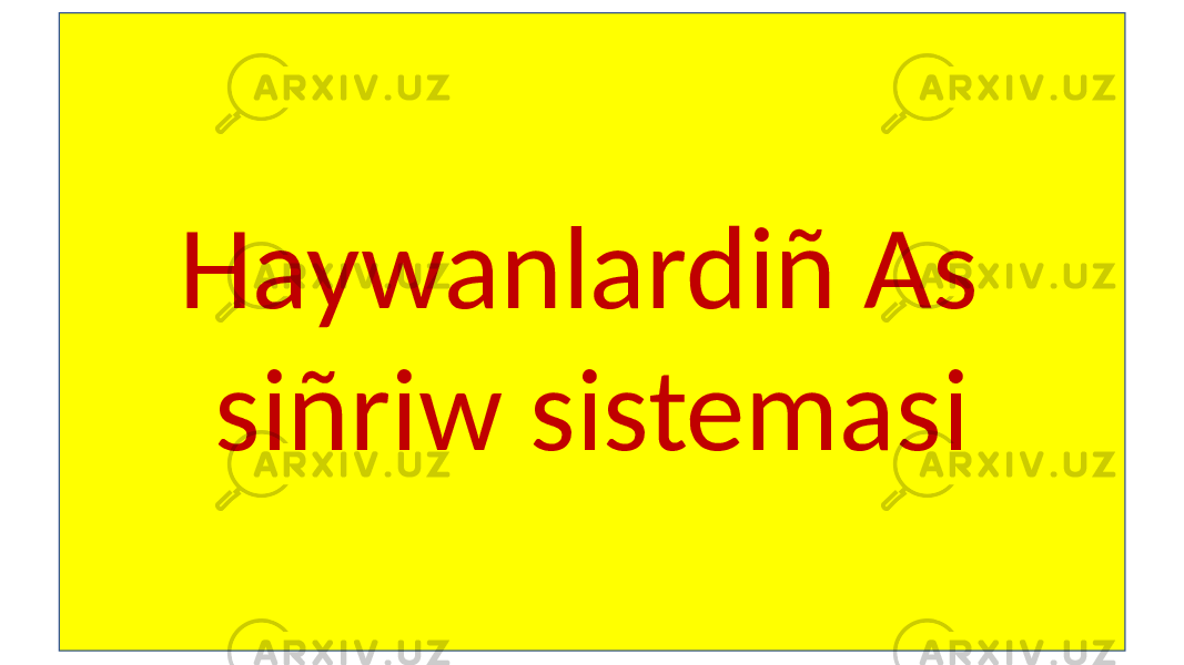 Haywanlardiñ As siñriw sistemasi. Haywanlardiñ As siñriw sistemasi 