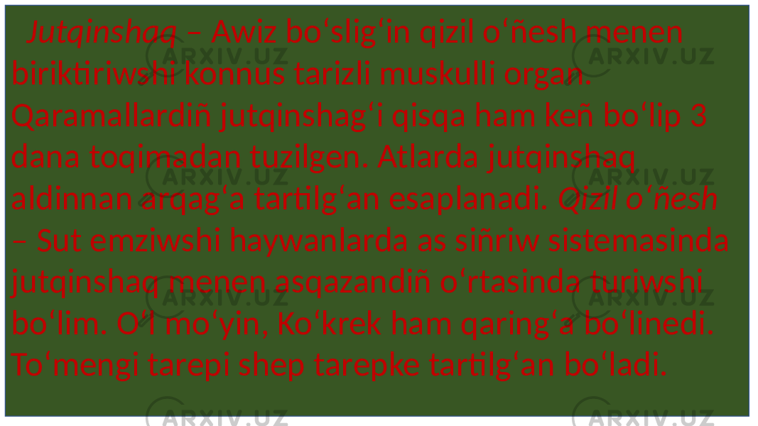  Jutqinshaq – Awiz boʻsligʻin qizil oʻñesh menen biriktiriwshi konnus tarizli muskulli organ. Qaramallardiñ jutqinshagʻi qisqa ham keñ boʻlip 3 dana toqimadan tuzilgen. Atlarda jutqinshaq aldinnan arqagʻa tartilgʻan esaplanadi. Qizil oʻñesh – Sut emziwshi haywanlarda as siñriw sistemasinda jutqinshaq menen asqazandiñ oʻrtasinda turiwshi boʻlim. Oʻl moʻyin, Koʻkrek ham qaringʻa boʻlinedi. Toʻmengi tarepi shep tarepke tartilgʻan boʻladi. 