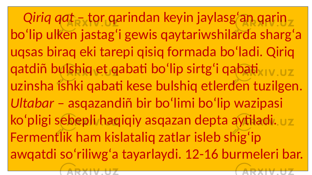  Qiriq qat – tor qarindan keyin jaylasgʻan qarin boʻlip ulken jastagʻi gewis qaytariwshilarda shargʻa uqsas biraq eki tarepi qisiq formada boʻladi. Qiriq qatdiñ bulshiq et qabati boʻlip sirtgʻi qabati uzinsha ishki qabati kese bulshiq etlerden tuzilgen. Ultabar – asqazandiñ bir boʻlimi boʻlip wazipasi koʻpligi sebepli haqiqiy asqazan depta aytiladi. Fermentlik ham kislataliq zatlar isleb shigʻip awqatdi soʻriliwgʻa tayarlaydi. 12-16 burmeleri bar. 