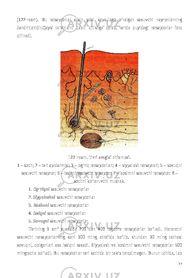 (122-rasm). Bu retseptorlar erkin yoki kapsulaga o’ralgan sezuvchi neyronlarning dendritlaridir.Qaysi ta’sirlarni qabul qilishga qarab, terida quyidagi retseptorlar farq qilinadi. 122-rasm. Teri sezgisi chizmasi. 1 – soch; 2 – teri epidermisi; 3 – og’riq retseptorlari; 4 – siypalash retseptori; 5 – sovuqni sezuvchi retseptor; 6 – issiqni sezuvchi retseptor; 7 – bosimni sezuvchi retseptor; 8 – sochni ko’taruvchi mushak. 1. Og’riqni sezuvchi retseptorlar 2. Siypalashni sezuvchi retseptorlar 3. Bosimni sezuvchi retseptorlar 4. Issiqni sezuvchi retseptorlar 5. Sovuqni sezuvchi retseptorlar Terining 1 sm 2 yuzasida 200 dan 400 tagacha retseptorlar bo’ladi. Haroratni sezuvchi retseptorlarning soni 300 ming atrofida bo’lib, shundan 30 ming tachasi sovuqni, qolganlari esa issiqni sezadi. Siypalash va bosimni sezuvchi retseptorlar 500 mingtacha bo’ladi. Bu retseptorlar teri sathida bir tekis tarqalmagan. Burun uchida, lab 22 