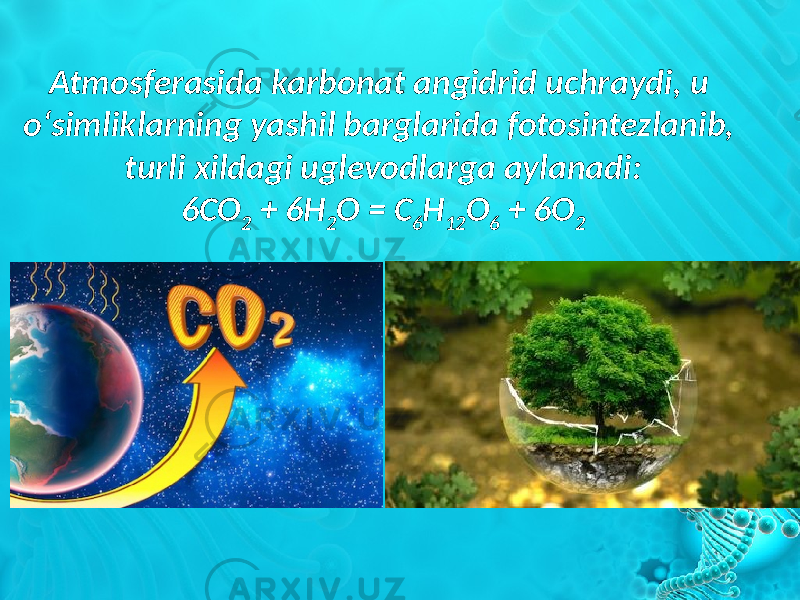 Atmosferasida karbonat angidrid uchraydi, u o‘simliklarning yashil barglarida fotosintezlanib, turli xildagi uglevodlarga aylanadi: 6CO 2 + 6H 2 O = C 6 H 12 O 6 + 6O 2 
