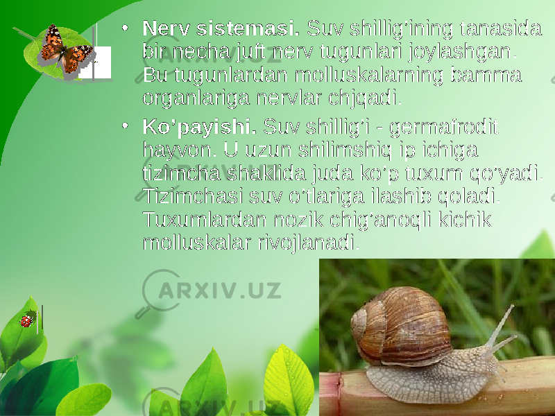 • Nerv sistemasi.  Suv shillig’ining tanasida bir necha juft nerv tugunlari joylashgan. Bu tugunlardan molluskalarning bamma organlariga nervlar chjqadi. • Ko’payishi.  Suv shillig’i - germafrodit hayvon. U uzun shilimshiq ip ichiga tizimcha shaklida juda ko’p tuxum qo’yadi. Tizimchasi suv o’tlariga ilashib qoladi. Tuxumlardan nozik chig’anoqli kichik molluskalar rivojlanadi. 