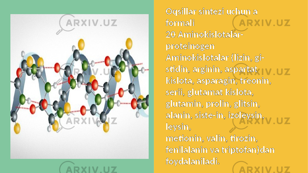 PART 02 Oqsillar sintezi uchun a formali 20 Aminokislotalar- proteinogen Aminokislotalar (lizin, gi- stidin, arginin, aspartat kislota, asparagin, treonin, serii, glutamat kislota, glutamin, prolin, glitsin, alanin, siste-in, izoleysin, leysin, metionin, valin, tirozin, fenilalanin va triptofan)dan foydalaniladi. 