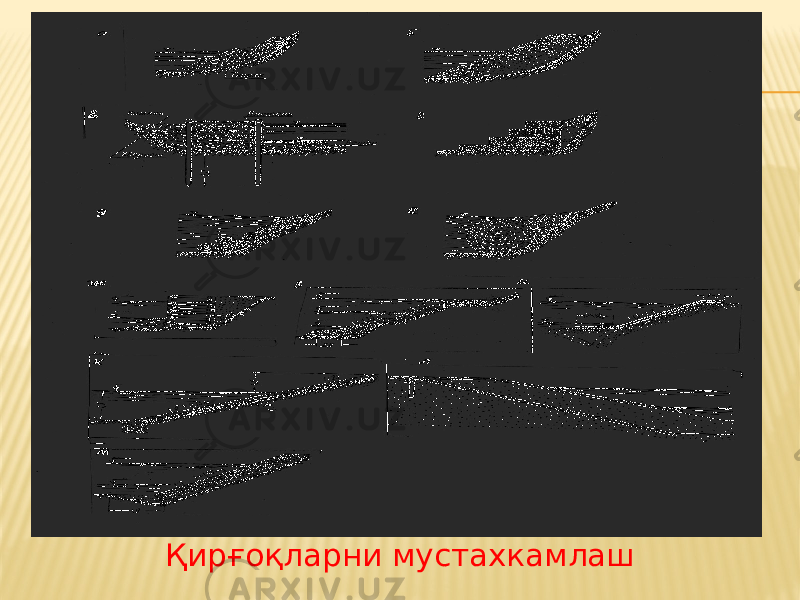 Қирғоқларни мустахкамлаш 