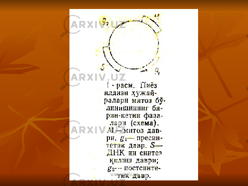 www.arxiv.uzwww.arxiv.uz 