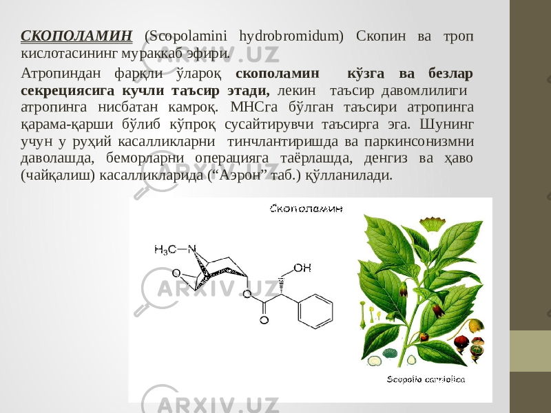 СКОПОЛАМИН (Scopolamini hydrobromidum) Скопин ва троп кислотасининг мураккаб эфири. Атропиндан фарқли ўлароқ скополамин кўзга ва безлар секрециясига кучли таъсир этади, лекин таъсир давомлилиги атропинга нисбатан камроқ. МНСга бўлган таъсири атропинга қарама-қарши бўлиб кўпроқ сусайтирувчи таъсирга эга. Шунинг учун у руҳий касалликларни тинчлантиришда ва паркинсонизмни даволашда, беморларни операцияга таёрлашда, денгиз ва ҳаво (чайқалиш) касалликларида (“Аэрон” таб.) қўлланилади. 