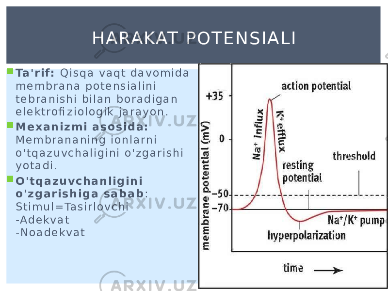  Ta &#39; r i f : Q i s q a v a q t d a v o m i d a m e m b r a n a p o t e n s i a l i n i t e b r a n i s h i b i l a n b o r a d i g a n e l e k t r o fi z i o l o g i k j a r a y o n .  M e x a n i z m i a s o s i d a : M e m b r a n a n i n g i o n l a r n i o &#39; t q a z u v c h a l i g i n i o &#39; z g a r i s h i y o t a d i .  O &#39; t q a z u v c h a n l i g i n i o &#39; z g a r i s h i g a s a b a b : S t i m u l = Ta s i r l o v c h i - A d e k v a t - N o a d e k v a t H A RA KAT P O T E N S I A L I 
