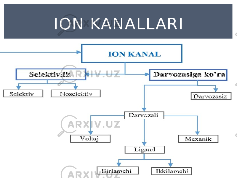 ION KANALL ARI 