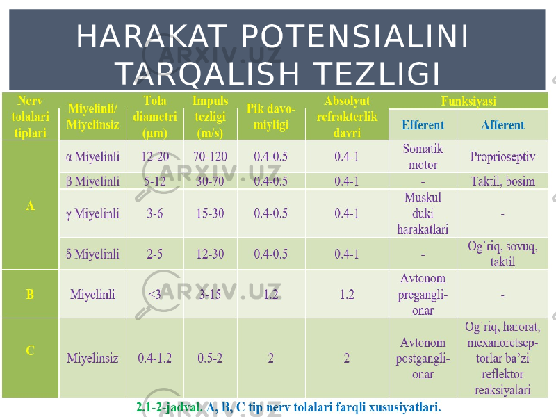 HARAKAT POTENSIALINI TARQALISH TEZL IGI 