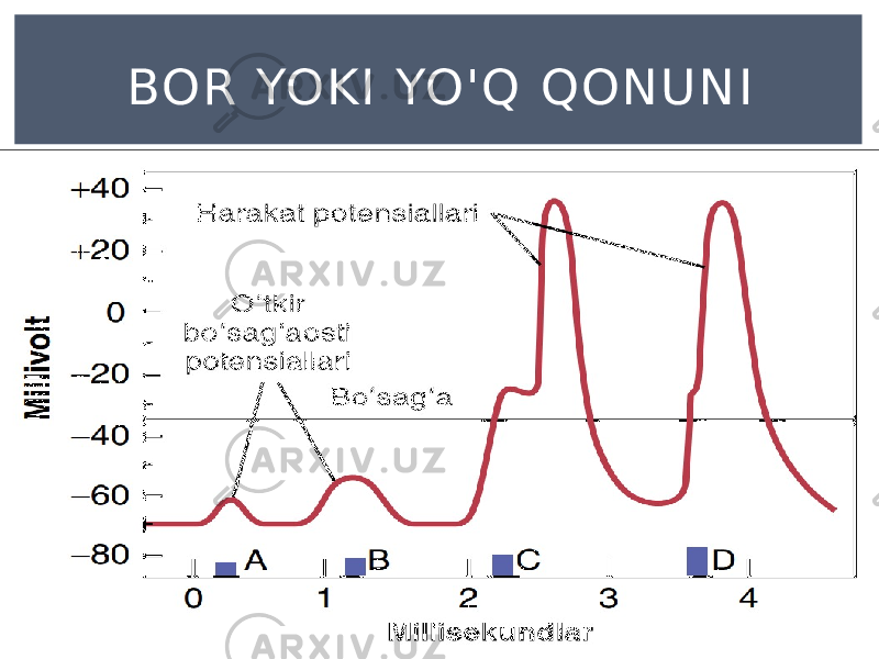 BOR YOKI YO&#39; Q QONU NI 