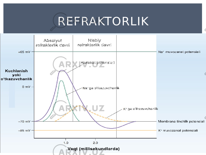 REFRAKTORLIK 