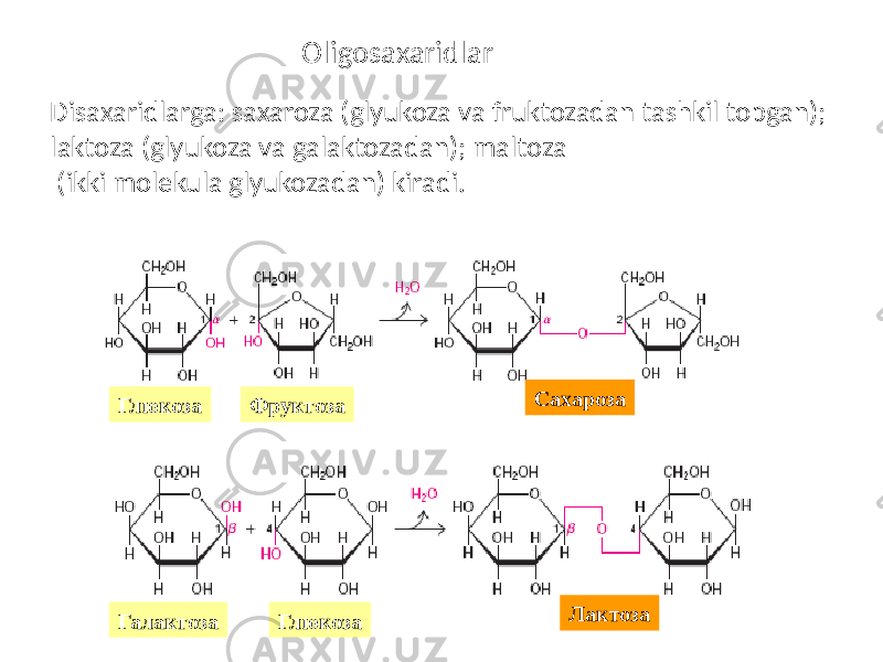 Oligosaxaridlar Disaxaridlarga: saxaroza (glyukoza va fruktozadan tashkil topgan); laktoza (glyukoza va galaktozadan); maltoza (ikki molekula glyukozadan) kiradi. Глюкоза Фруктоза Сахароза Лактоза ГлюкозаГалактоза 