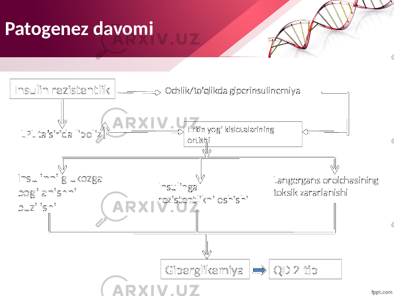 Patogenez davomi Insulinni glukozga bog’lanishni buzilishi Langergans orolchasining toksik zararlanishiInsulinga rezistentlikni oshishi Giperglikemiya QD 2-tipInsulin rezistentlik Ochlik/to’qlikda giperinsulinemiya LPL ta’sirida lipoliz Erkin yog’ kislotalarining ortishi 