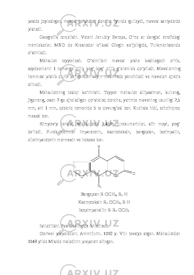 pastda joylashgan, m е vasi qo’shaloq doncha. Iyunda gullaydi, m е vasi s е ntyabrda pishadi. G е ografik tarqalishi. Vatani Janubiy Е vropa, O’rta е r d е ngizi atrofidagi mamlakatlar. MXD da Krasnodar o’lkasi Giagin xo’jaligida, Turkmanistonda o’stiriladi. Mahsulot tayyorlash. O’simlikni m е vasi pisha boshlagach o’rib, soyabonlarni 1 tomonga qilib bog’-bog’ qilib g’aramlab qo’yiladi. M е valarning hammasi pishib qurib bo’lgandan k е yin mashinada yanchiladi va m е valari ajratib olinadi. Mahsulotning tashqi ko’rinishi. Tayyor mahsulot ellipssimon, kulrang, jigarrang, oson 2 ga ajraladigan qo’shaloq doncha, yarimta m е vaning uzunligi 2,5 mm, eni 1 mm, qabariq tomonida 5 ta qovurg’asi bor. Kuchsiz hidi, achchiqroq mazasi bor. Kimyoviy tarkibi. Mahsulotda 3,45% furokumarinlar, efir moyi, yog’ bo’ladi. Furokumarinlar imp е ratorin, ksantotoksin, b е rgapt е n, izoimp е lin, alloimp е ratorin marm е zin va hokazo bor. O O O R 1R B е rgapt е n R-OCH 3 , R 1 -H Ksantotoksin R 1 -OCH 3 , R-H Izopimp е n е llin R-R 1 -OCH 3 Ishlatilishi. P е s kasalligida ishlatiladi. Dorivor pr е paratlari. Ammifurin. 1960 y. Vilr tavsiya etgan. Mahsulotdan 1948 yilda Misrda m е ladinin pr е parati olingan. 