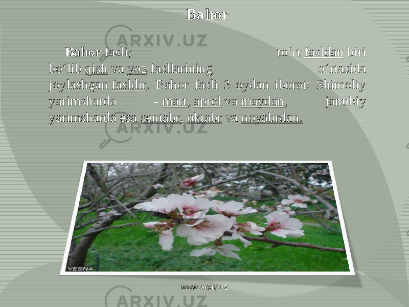 Bahor Bahor  fasli, toʻrt  fasldan  biri boʻlib  qish  va  yoz  fasllarining oʻrtasida joylashgan  fasldir . Bahor fasli 3 oydan iborat: Shimoliy yarimsharda -  mart ,  aprel  va  maydan , janubiy yarimsharda esa  sentabr ,  oktabr  va  noyabrdan. www.arxiv.uz 