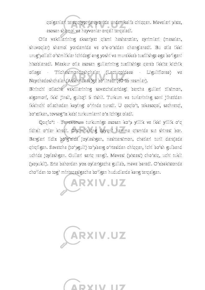 qolganlari taraqqiyot jarayonida undan kelib chiqqan. Mevalari pista, asosan shamol va hayvonlar orqali tarqaladi. Oila vakillarining aksariyat qismi hasharotlar, ayrimlari (masalan, shuvoqlar) shamol yordamida va o’z-o’zidan changlanadi. Bu oila ikki urug’pallali o’simliklar ichidagi eng yoshi va murakkab tuzilishga ega bo’lgani hisoblanadi. Mazkur oila asosan gullarining tuzilishiga qarab ikkita kichik oilaga - Tilchasimondoshchalar (Lactucoideae - Liguliflorae) va Naychadoshchalar (Asteroideae)ga bo’linadi (80-65 rasmlar). Birinchi oilacha vakillarining savatchalaridagi barcha gullari tilsimon, zigomorf, ikki jinsli, gultoji 5 tishli. Turkum va turlarining soni jihatidan ikkinchi oilachadan keyingi o’rinda turadi. U qoqio’t, takasoqol, sachratqi, bo’ztikan, tovsag’iz kabi turkumlarni o’z ichiga oladi. Qoqio’t - Taraxacum turkumiga asosan ko’p yillik va ikki yillik o’q ildizli o’tlar kiradi. O’simlikning deyarli hamma qismida sut shirasi bor. Barglari ildiz bo’g’zida joylashgan, nashtarsimon, chetlari turli darajada qirqilgan. Savatcha (to’pguli) to’pbarg o’rtasidan chiqqan, ichi bo’sh gulband uchida joylashgan. Gullari sariq rangli. Mevasi (pistasi) cho’ziq, uchi tukli (popukli). Erta bahordan yoz oylarigacha gullab, meva beradi. O’zbekistonda cho’ldan to tog’ mintaqasigacha bo’lgan hududlarda keng tarqalgan. 