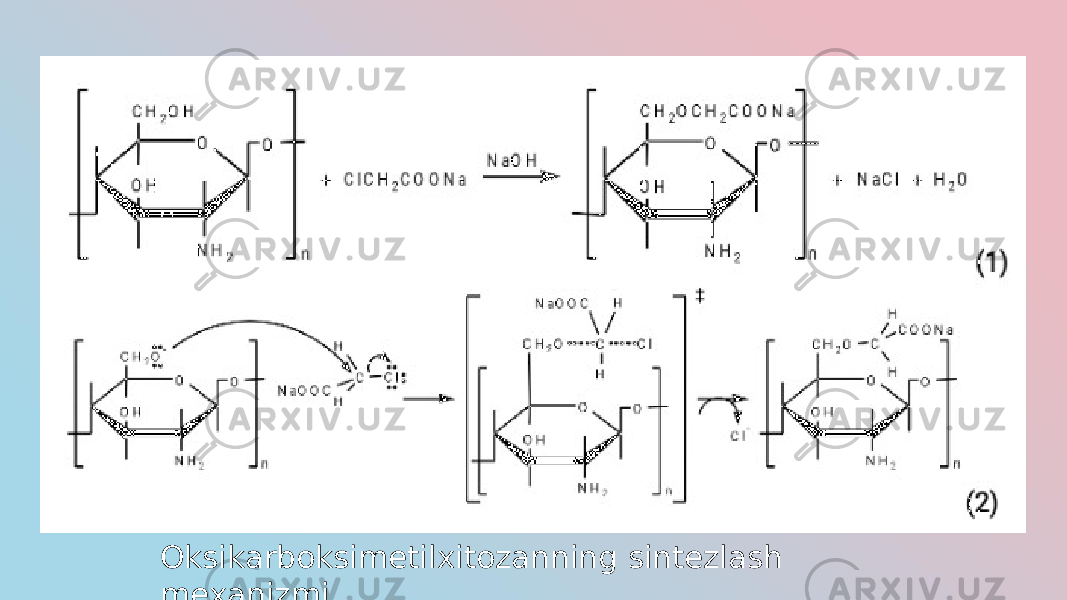 Oksikarboksimetilxitozanning sintezlash mexanizmi 