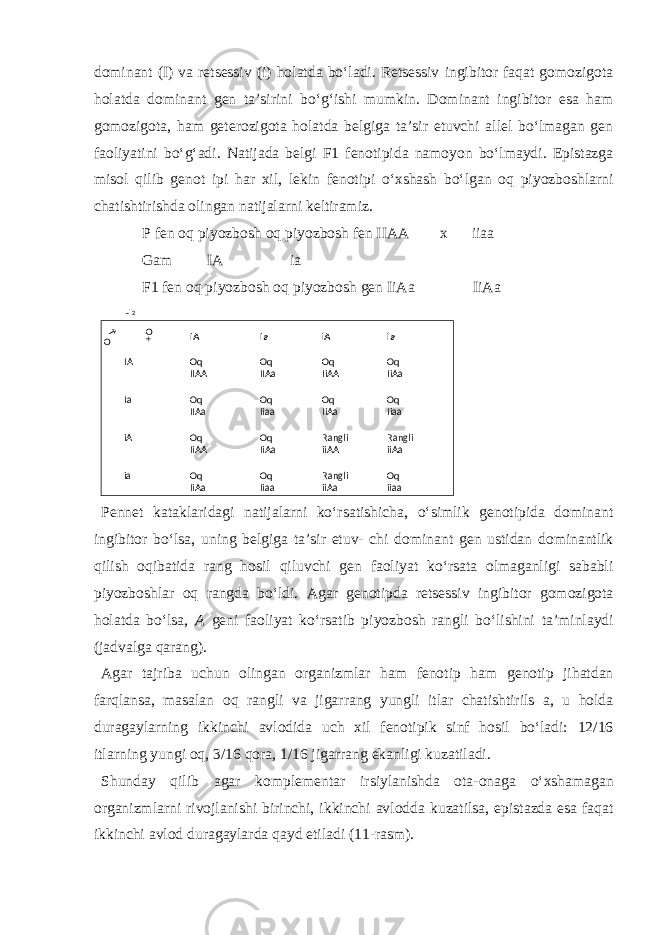 dominant (I) va retsessiv (i) holatda bo‘ladi. Retsessiv ingibitor faqat gomozigota holatda dominant gen ta’sirini bo‘g‘ishi mumkin. Dominant ingibitor esa ham gomozigota, ham geterozigota holatda belgiga ta’sir etuvchi allel bo‘lmagan gen faoliyatini bo‘g‘adi. Natijada belgi F1 fenotipida namoyon bo‘lmaydi. Epistazga misol qilib genot ipi har xil, lekin fenotipi o‘xshash bo‘lgan oq piyozboshlarni chatishtirishda olingan natijalarni keltiramiz. P fen oq piyozbosh oq piyozbosh fen IIAA x iiaa Gam IA ia F1 fen oq piyozbosh oq piyozbosh gen IiAa IiAa Pennet kataklaridagi natijalarni ko‘rsatishicha, o‘simlik genotipida dominant ingibitor bo‘lsa, uning belgiga ta’sir etuv- chi dominant gen ustidan dominantlik qilish oqibatida rang hosil qiluvchi gen faoliyat ko‘rsata olmaganligi sababli piyozboshlar oq rangda bo‘ldi. Agar genotipda retsessiv ingibitor gomozigota holatda bo‘lsa, A geni faoliyat ko‘rsatib piyozbosh rangli bo‘lishini ta’minlaydi (jadvalga qarang). Agar tajriba uchun olingan organizmlar ham fenotip ham genotip jihatdan farqlansa, masalan oq rangli va jigarrang yungli itlar chatishtirils a, u holda duragaylarning ikkinchi avlodida uch xil fenotipik sinf hosil bo‘ladi: 12/16 itlarning yungi oq, 3/16 qora, 1/16 jigarrang ekanligi kuzatiladi. Shunday qilib agar komplementar irsiylanishda ota-onaga o‘xshamagan organizmlarni rivojlanishi birinchi, ikkinchi avlodda kuzatilsa, epistazda esa faqat ikkinchi avlod duragaylarda qayd etiladi (11-rasm). F 2 IaIA iA ia OqIA Oq Oq Oq IiAA IiAaIIAA IIAa Ia Oq OqOqOq IiaaIiAaIiaaIIAa iA Oq Oq RangliRangli IiAA IiAa iiAA iiAa ia Oq Rangli OqOq IiAa Iiaa iiAa iiaaO + O→ 