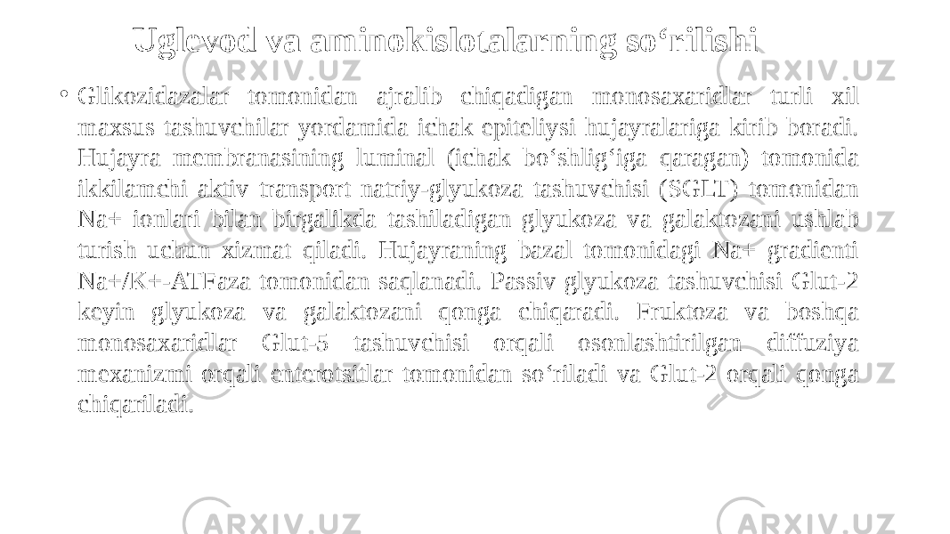 Uglevod va aminokislotalarning so‘rilishi • Glikozidazalar tomonidan ajralib chiqadigan monosaxaridlar turli xil maxsus tashuvchilar yordamida ichak epiteliysi hujayralariga kirib boradi. Hujayra membranasining luminal (ichak bo‘shlig‘iga qaragan) tomonida ikkilamchi aktiv transport natriy-glyukoza tashuvchisi (SGLT) tomonidan Na+ ionlari bilan birgalikda tashiladigan glyukoza va galaktozani ushlab turish uchun xizmat qiladi. Hujayraning bazal tomonidagi Na+ gradienti Na+/K+-ATFaza tomonidan saqlanadi. Passiv glyukoza tashuvchisi Glut-2 keyin glyukoza va galaktozani qonga chiqaradi. Fruktoza va boshqa monosaxaridlar Glut-5 tashuvchisi orqali osonlashtirilgan diffuziya mexanizmi orqali enterotsitlar tomonidan so‘riladi va Glut-2 orqali qonga chiqariladi. 