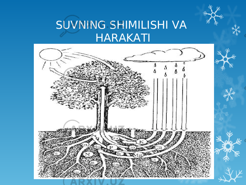 SUVNING SHIMILISHI VA HARAKATI 