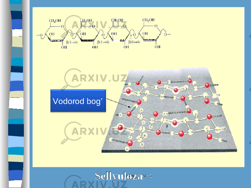 SellyulozaVodorod bog’ www.arxiv.uz 