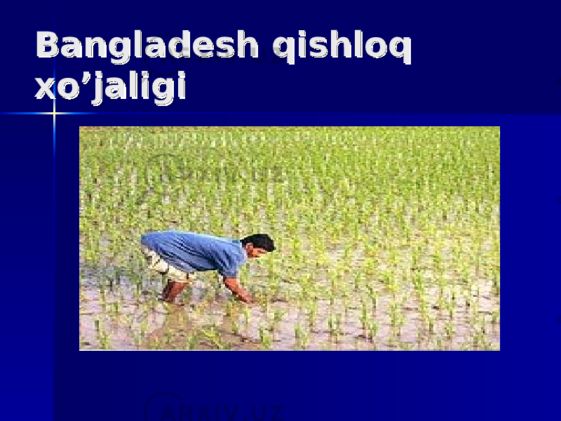 Bangladesh qishloq Bangladesh qishloq xo’jaligixo’jaligi 