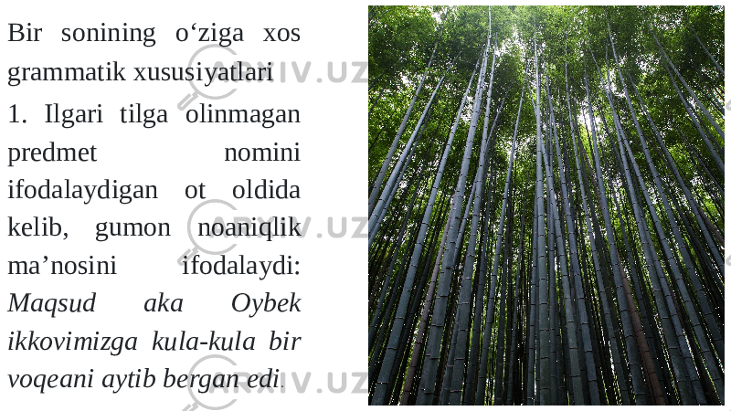 Bir sonining о‘ziga xos grammatik xususiyatlari 1. Ilgari tilga olinmagan predmet nomini ifodalaydigan ot oldida kelib, gumon noaniqlik ma’nosini ifodalaydi: Maqsud aka Oybek ikkovimizga kula-kula bir voqeani aytib bergan edi . 